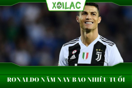 Ronaldo năm nay bao nhiêu tuổi? Danh hiệu có trong sự nghiệp