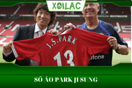 Số áo Park Ji Sung là bao nhiêu trong ĐTQG Hàn Quốc?