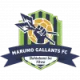 Logo Marumo Gallants FC