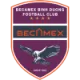 Logo Becamex Binh Duong