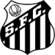 Logo Santos (Youth)