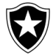 Logo Botafogo RJ (Youth)